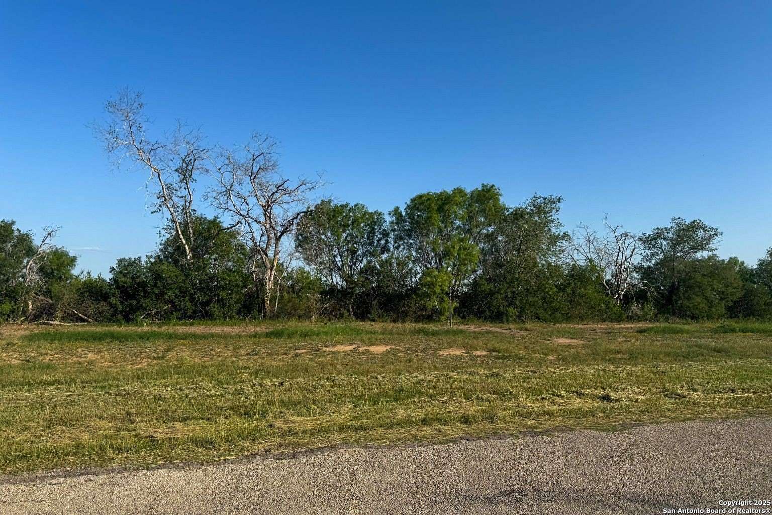 3.1 Acres of Residential Land for Sale in Devine, Texas