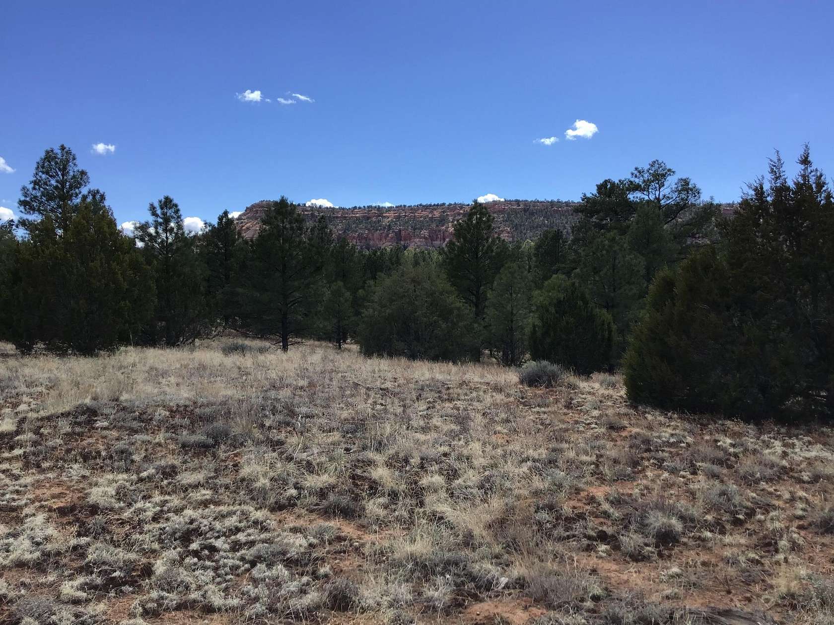 5.79 Acres of Recreational Land for Sale in Ramah, New Mexico
