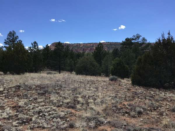 5.79 Acres of Recreational Land for Sale in Ramah, New Mexico