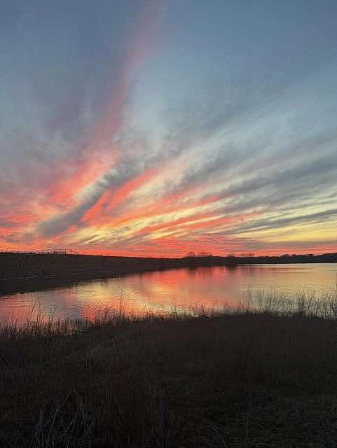 40 Acres of Land for Sale in Perrin, Texas
