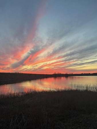 40 Acres of Land for Sale in Perrin, Texas