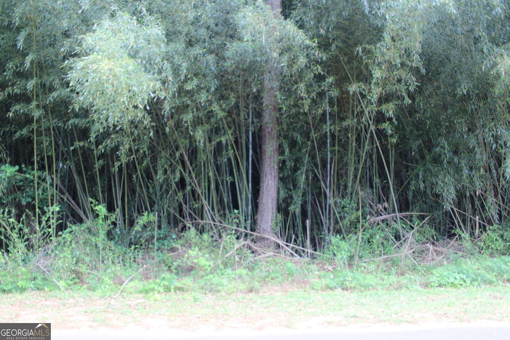 1 Acre of Land for Sale in Lumpkin, Georgia