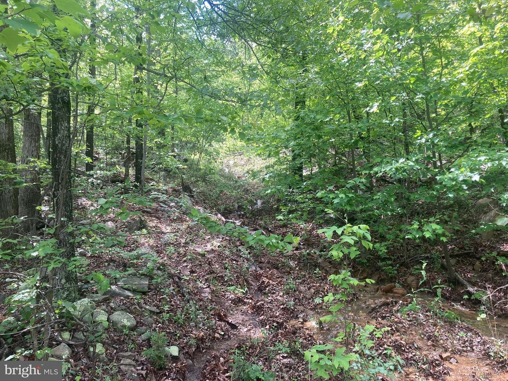 2 Acres of Land for Sale in Paw Paw, West Virginia