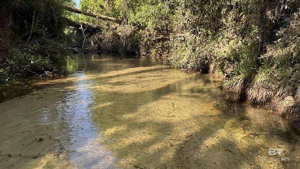 24.5 Acres of Recreational & Residential Land for Sale in Robertsdale, Alabama