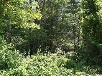 46.9 Acres of Land for Sale in Middleboro, Massachusetts