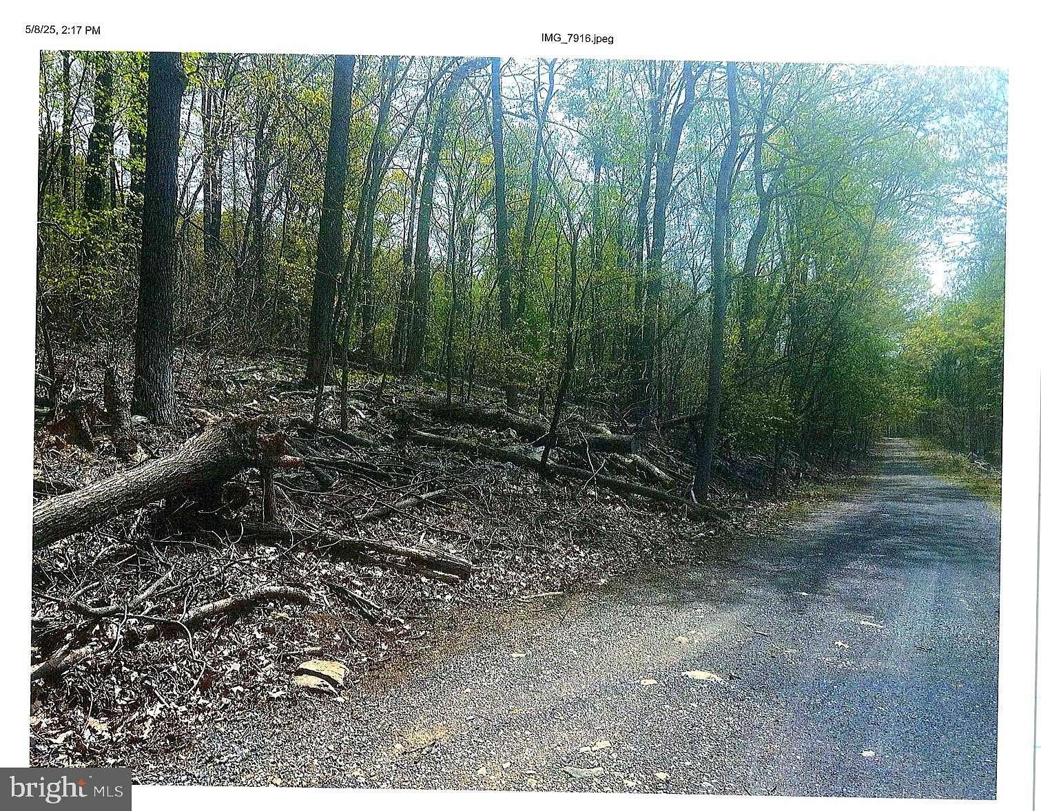 0.73 Acres of Residential Land for Sale in Linden, Virginia