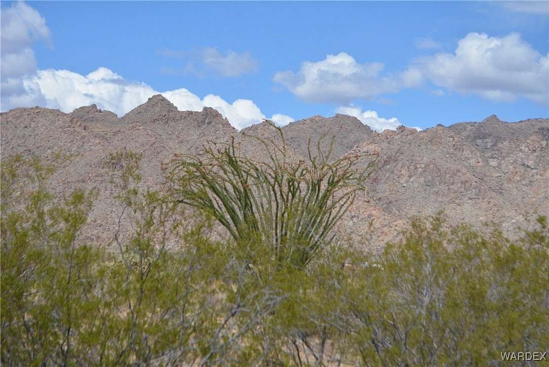 1 Acre of Residential Land for Sale in Yucca, Arizona