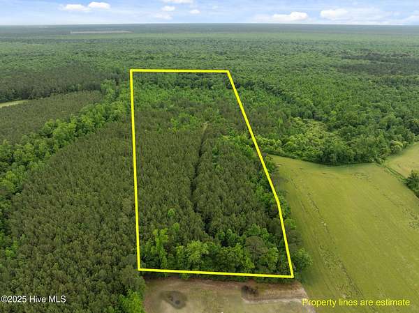 15.3 Acres of Recreational Land for Sale in Wallace, North Carolina