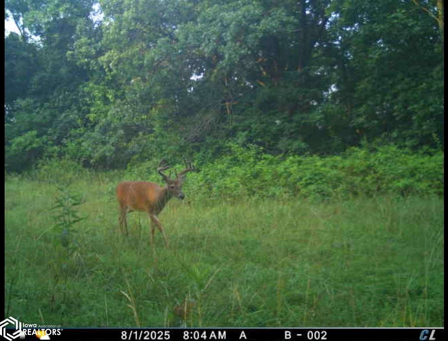 551 Acres of Recreational Land & Farm for Sale in Cincinnati, Iowa