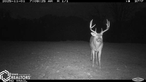 551 Acres of Recreational Land & Farm for Sale in Cincinnati, Iowa