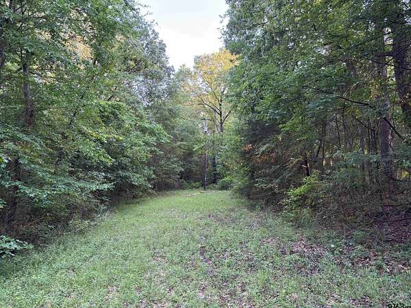 Residential Land for Sale in Mount Vernon, Texas