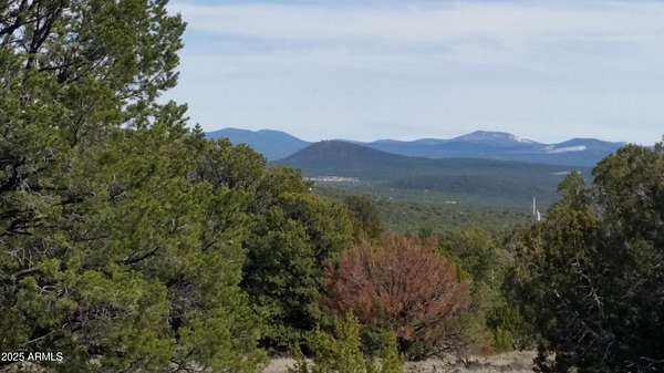 4.77 Acres of Residential Land for Sale in Vernon, Arizona