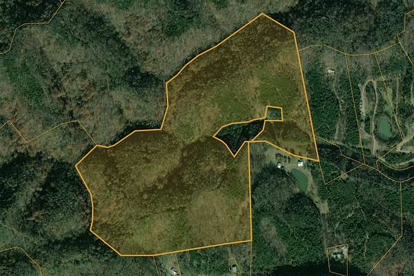 60 Acres of Recreational Land for Sale in Newport, Tennessee