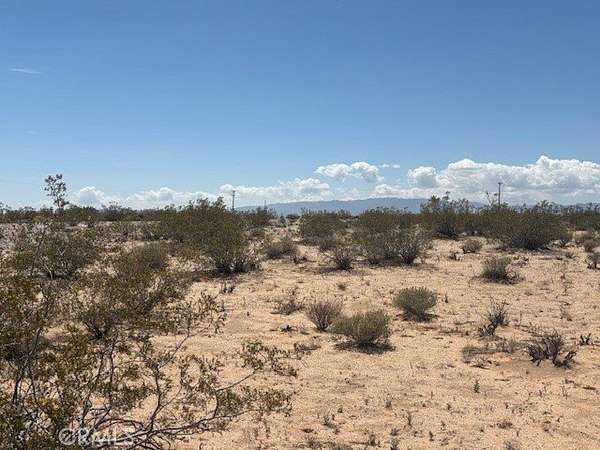 5 Acres of Land for Sale in Joshua Tree, California