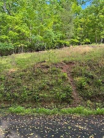 0.38 Acres of Residential Land for Sale in Spring City, Tennessee