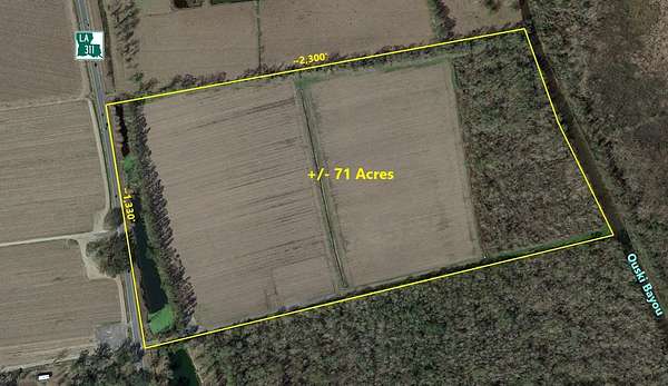 71.1 Acres of Land for Sale in Schriever, Louisiana