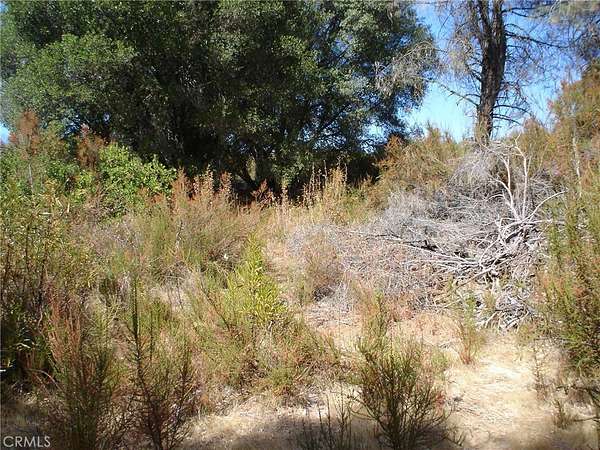 0.16 Acres of Residential Land for Sale in Clearlake, California