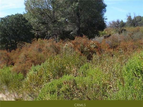 0.16 Acres of Residential Land for Sale in Clearlake, California