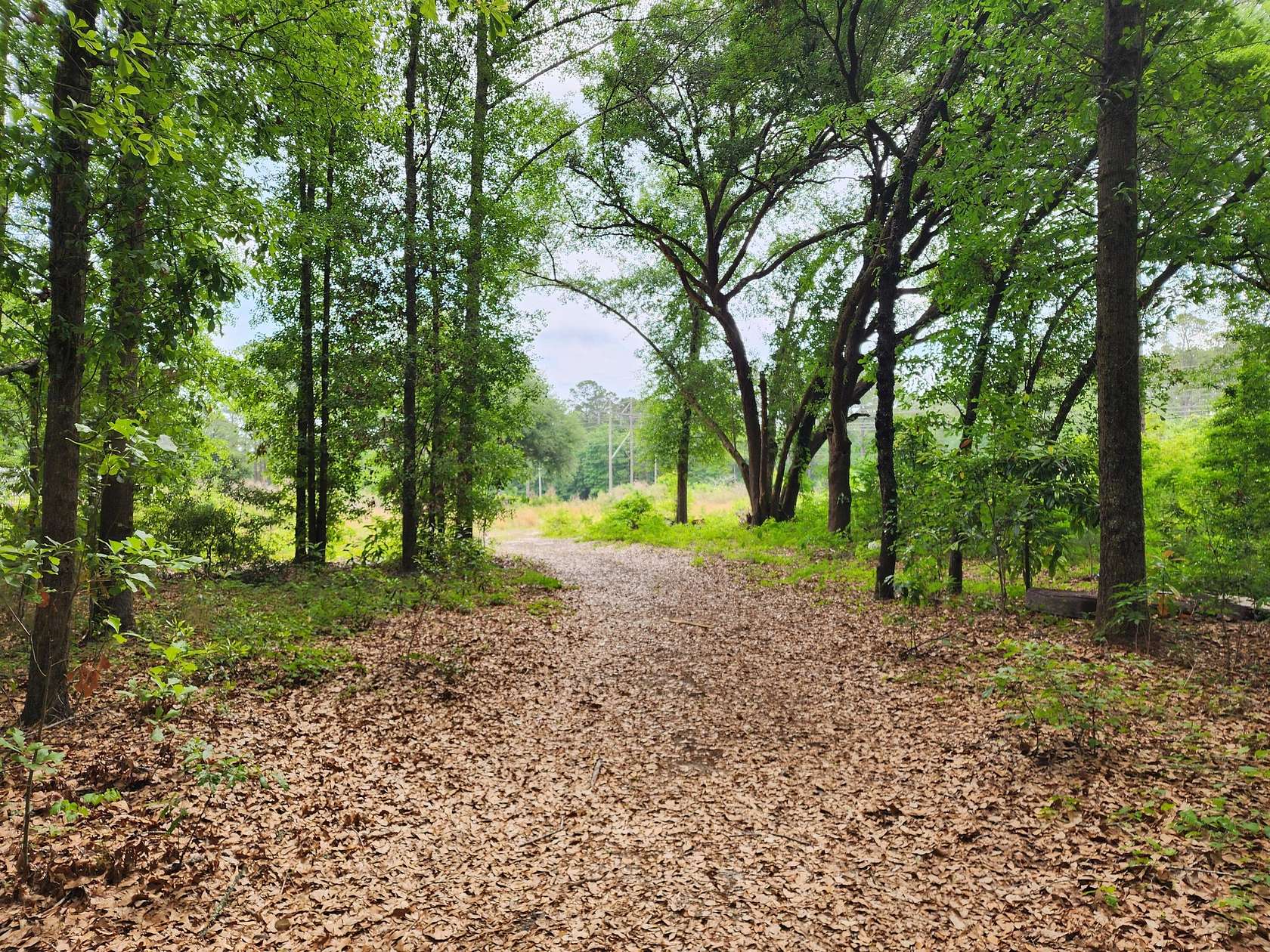 5.47 Acres of Residential Land for Sale in Moncks Corner, South Carolina