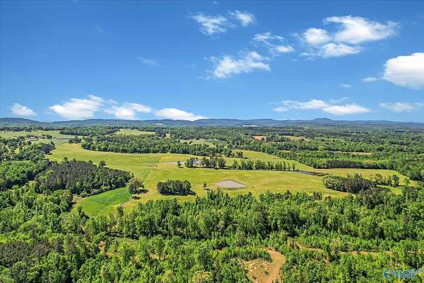 200 Acres of Land for Sale in Blountsville, Alabama
