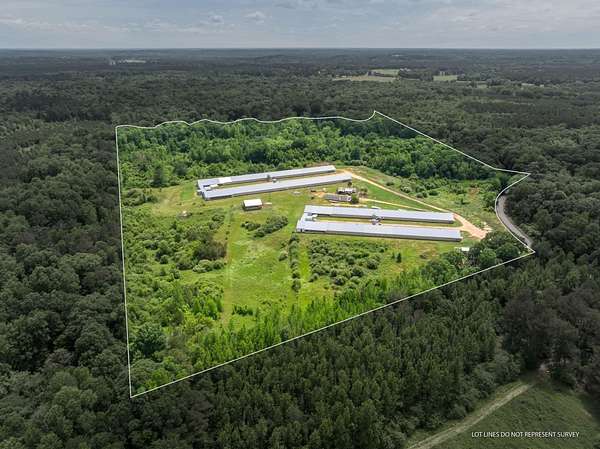 44.3 Acres of Commercial Land for Sale in Mount Olive, Mississippi