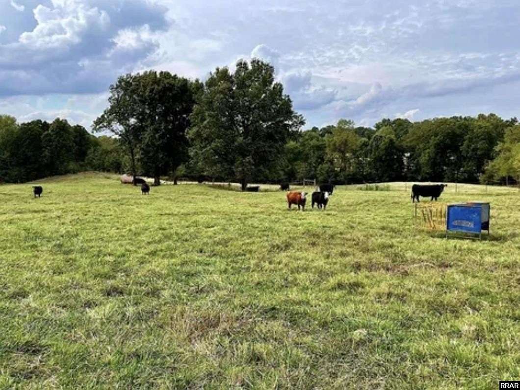 176 Acres of Agricultural Land for Sale in Dresden, Tennessee