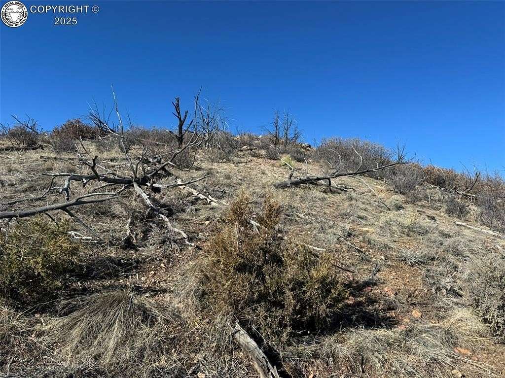 5.12 Acres of Land for Sale in Cotopaxi, Colorado