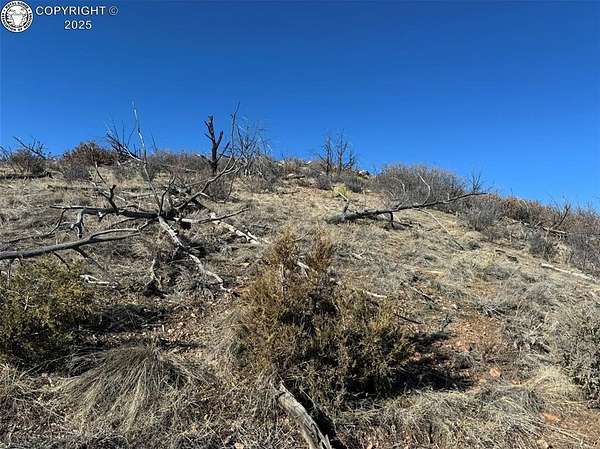5.12 Acres of Land for Sale in Cotopaxi, Colorado