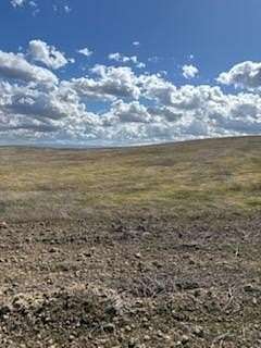 Land for Sale in Lost Hills, California