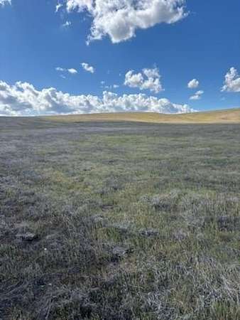 Land for Sale in Lost Hills, California