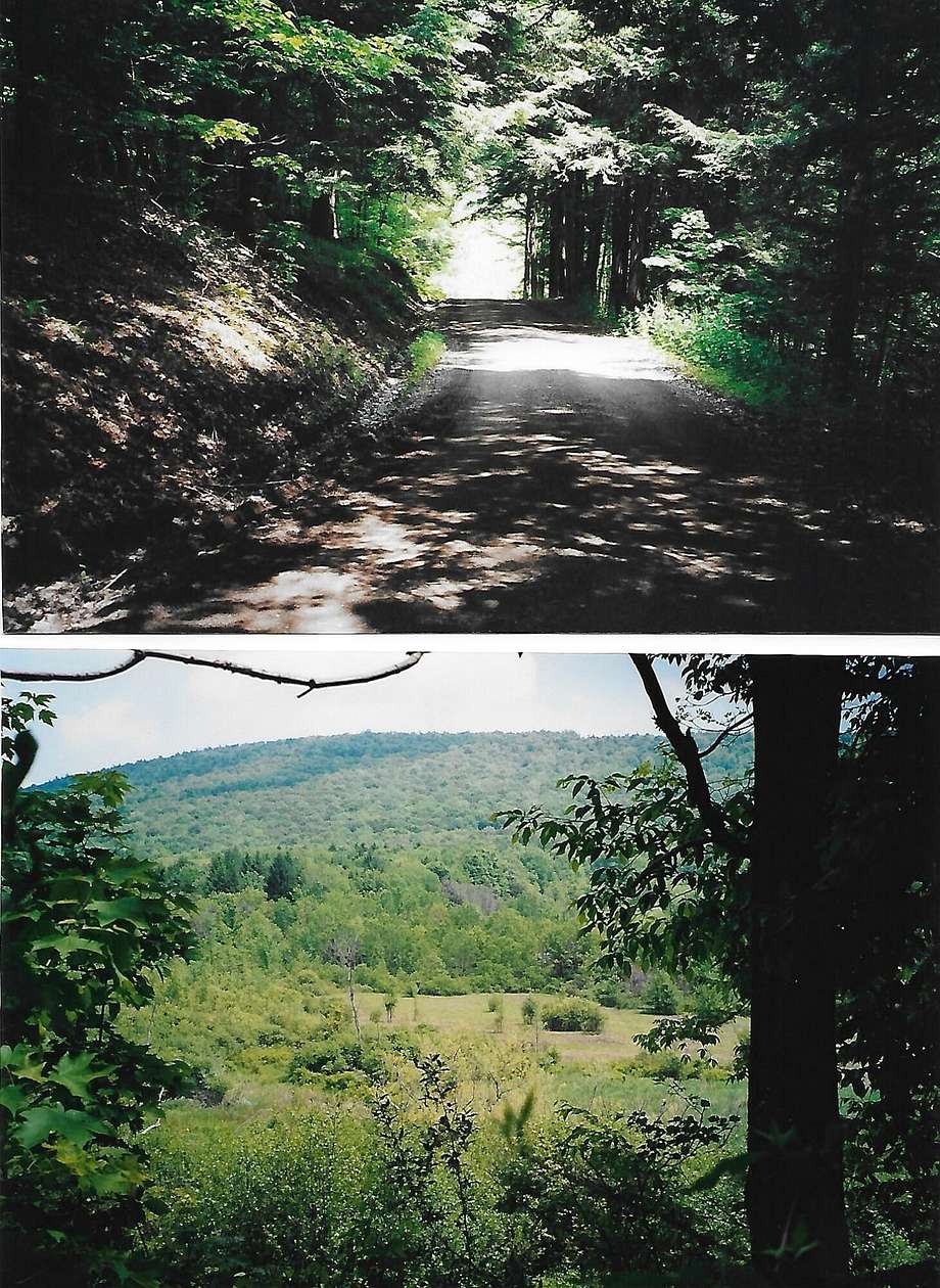 13 Acres of Land for Sale in Sugar Run, Pennsylvania