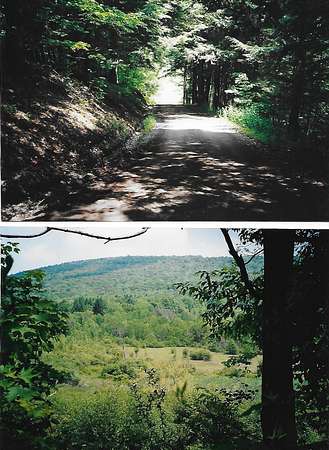 13 Acres of Land for Sale in Sugar Run, Pennsylvania