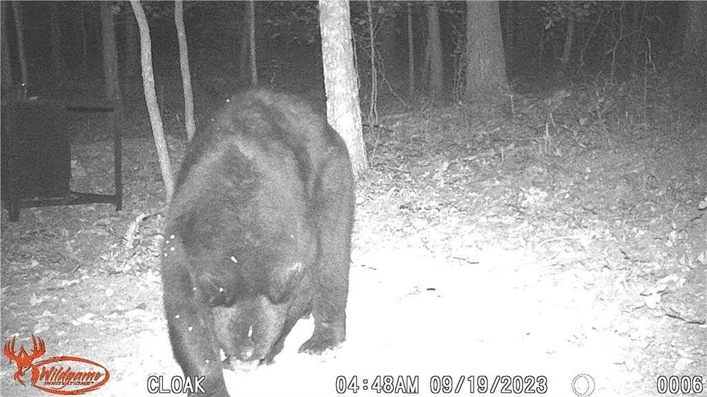 76 Acres of Recreational Land for Sale in Kingston, Arkansas