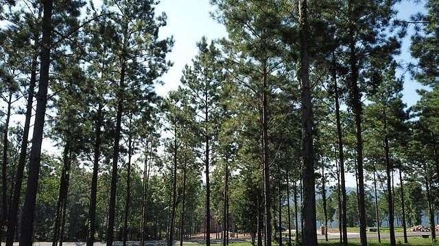 1.42 Acres of Residential Land for Sale in Jasper, Tennessee