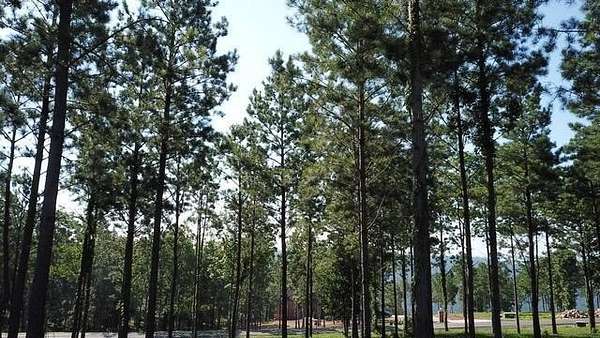 1.42 Acres of Residential Land for Sale in Jasper, Tennessee