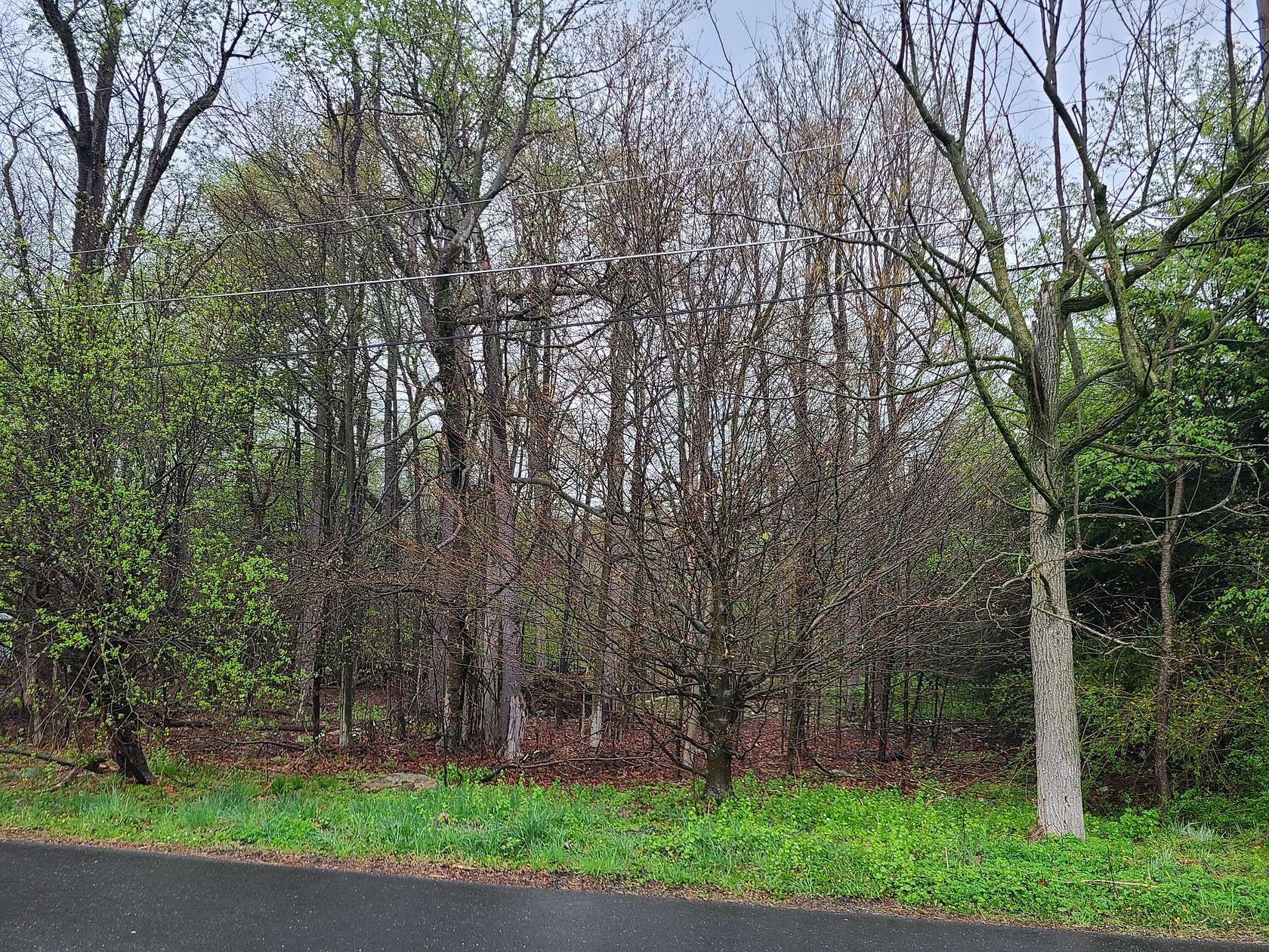 0.2 Acres of Residential Land for Sale in Tobyhanna, Pennsylvania