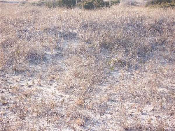 0.41 Acres of Residential Land for Sale in Bald Head Island, North Carolina