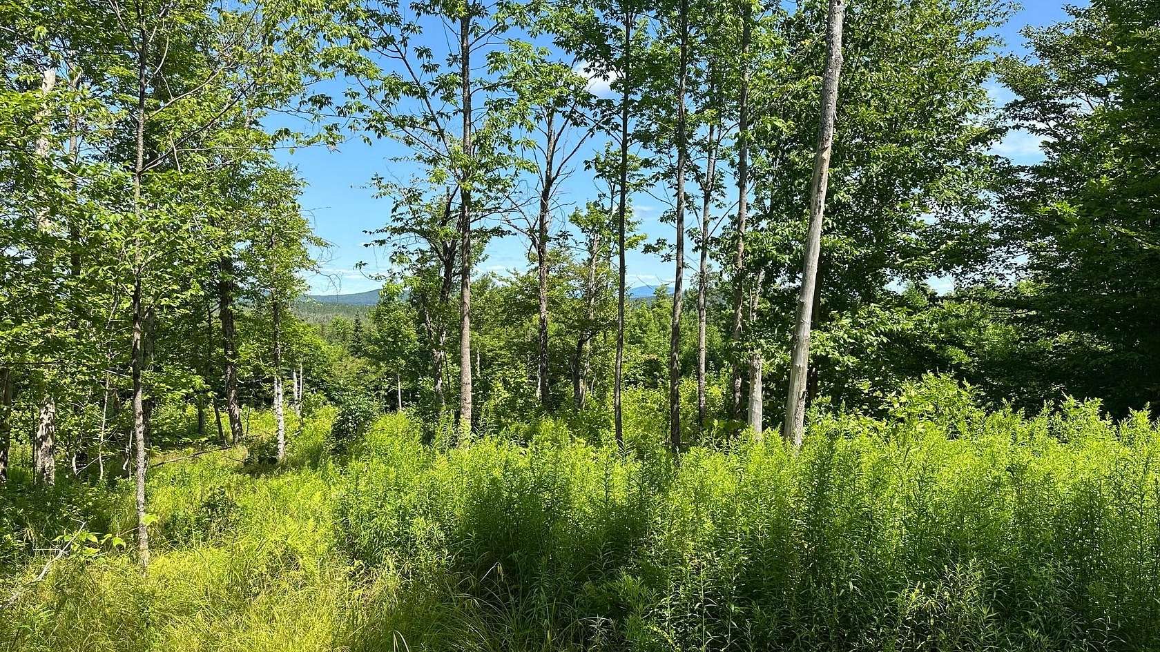 4 Acres of Residential Land for Sale in Greenville, Maine
