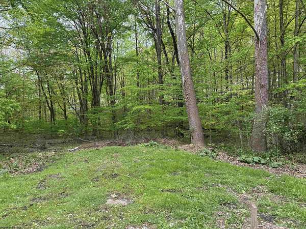 3 Acres of Residential Land for Sale in Philippi, West Virginia