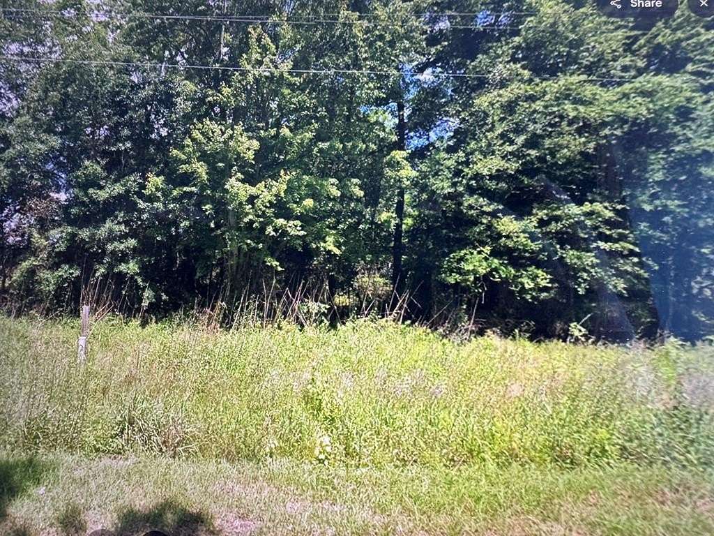 8.6 Acres of Residential Land for Sale in Manning, South Carolina