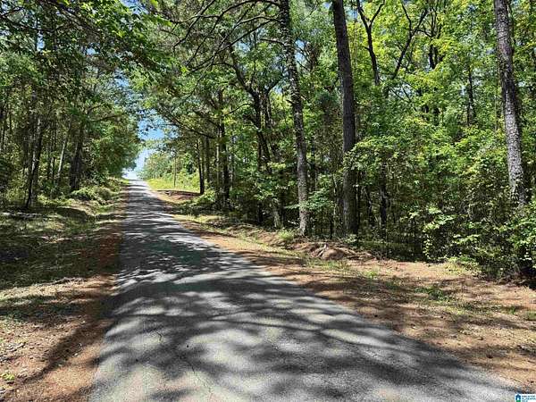 1 Acre of Residential Land for Sale in Talladega, Alabama