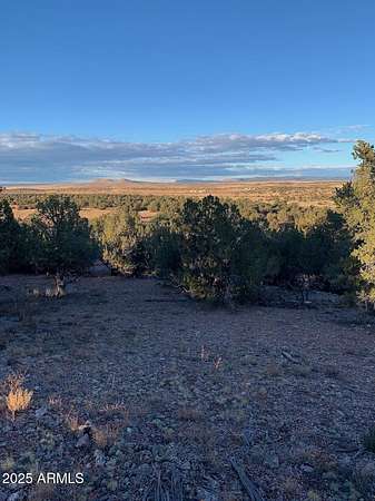 37.3 Acres of Recreational Land for Sale in Seligman, Arizona