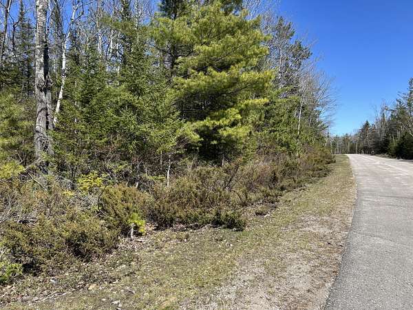0.75 Acres of Residential Land for Sale in Presque Isle, Michigan