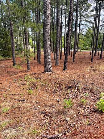 2.79 Acres of Residential Land for Sale in Columbia, South Carolina