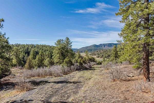 15.6 Acres of Land for Sale in Pagosa Springs, Colorado