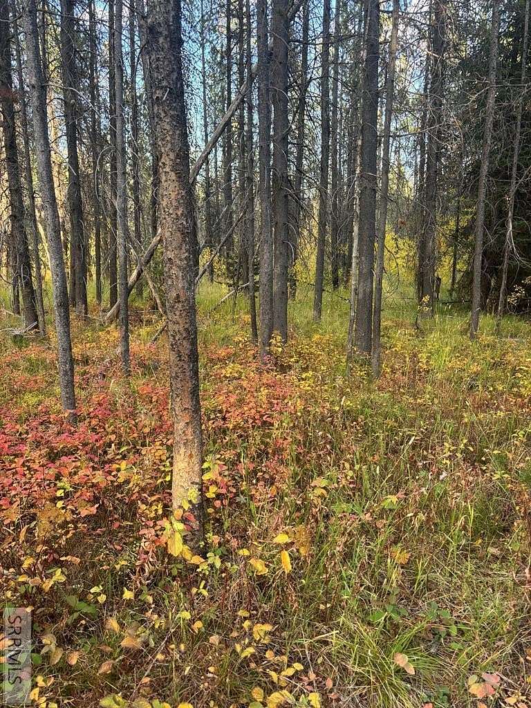 3 Acres of Residential Land for Sale in Island Park, Idaho