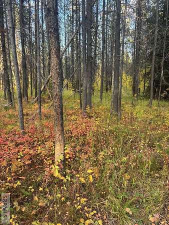 3 Acres of Residential Land for Sale in Island Park, Idaho