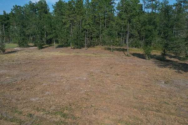 2 Acres of Residential Land for Sale in Kirbyville, Texas