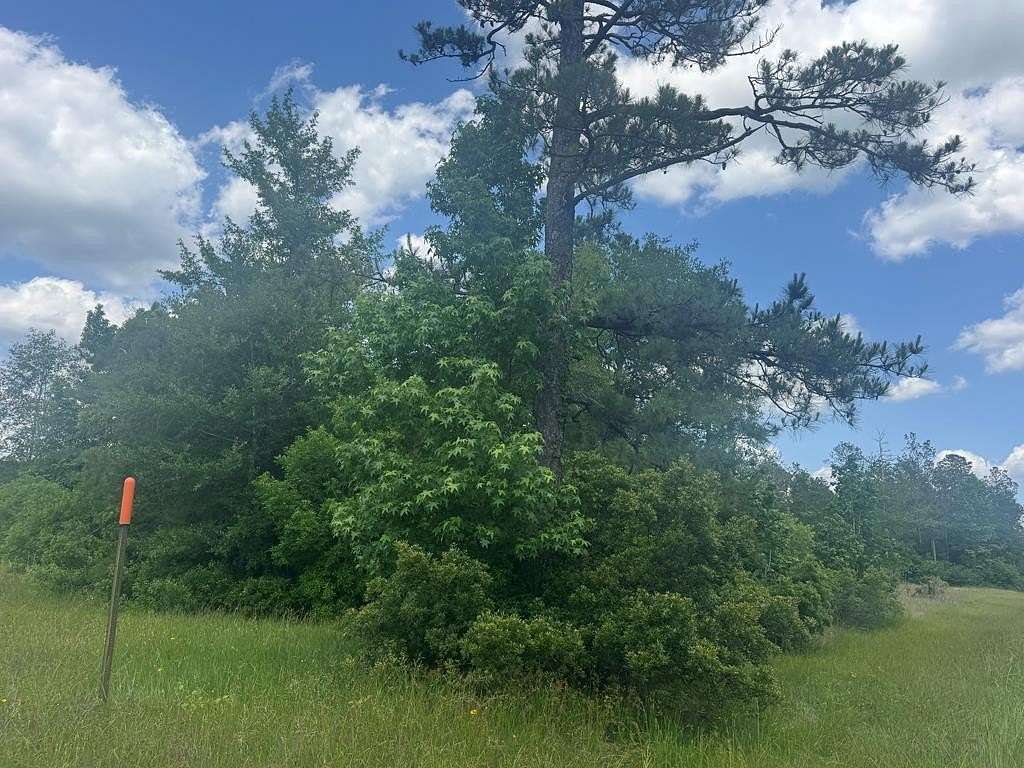 1 Acre of Residential Land for Sale in Kirbyville, Texas