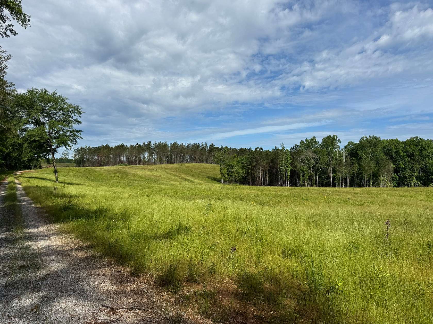 149 Acres of Recreational Land & Farm for Sale in Five Points, Alabama